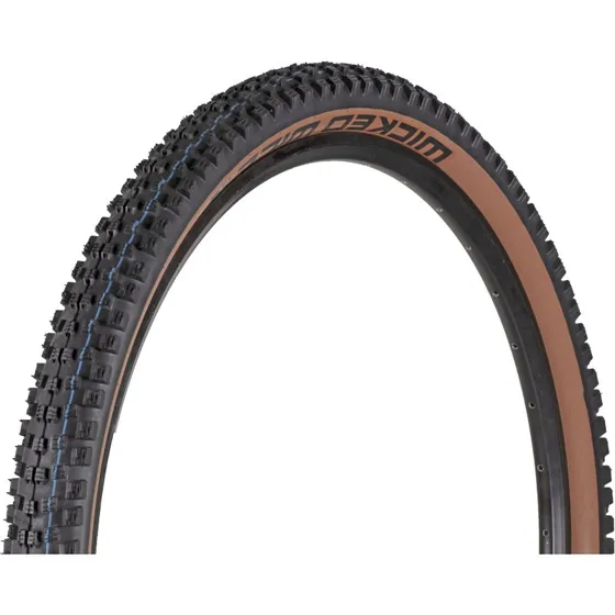 Schwalbe Wicked Will Addix SpeedGrip Super Ground 29'' TLE