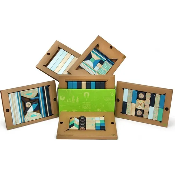 Tegu Kit Future Classroom 130 Blocchi Magnetici in Legno