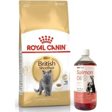 Royal Canin British Shorthair Adult 10 kg