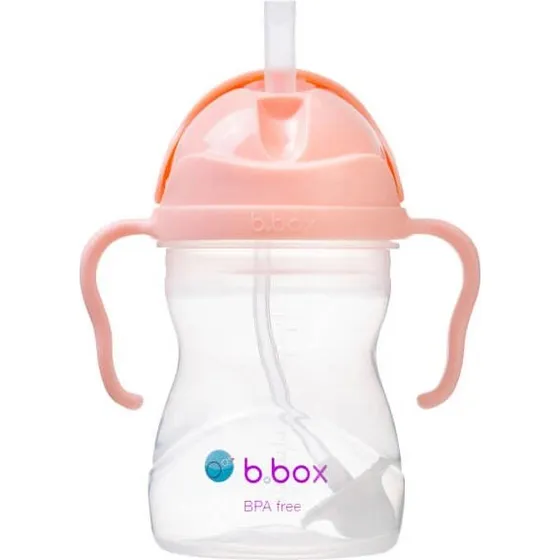 B.Box Borraccia con Cannuccia Tutti Frutti 240 ml