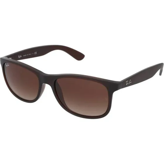 Ray-Ban Andy RB4202 607313 Marrn