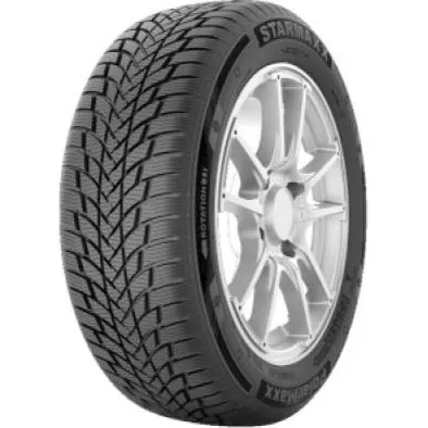Pneumatico PolarMaxx 205/65 R16 95H