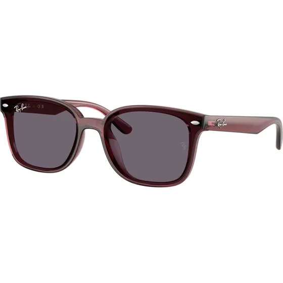 Ray-Ban RB4461D Occhiali da Sole Squadrati Nylon Marrone Viola