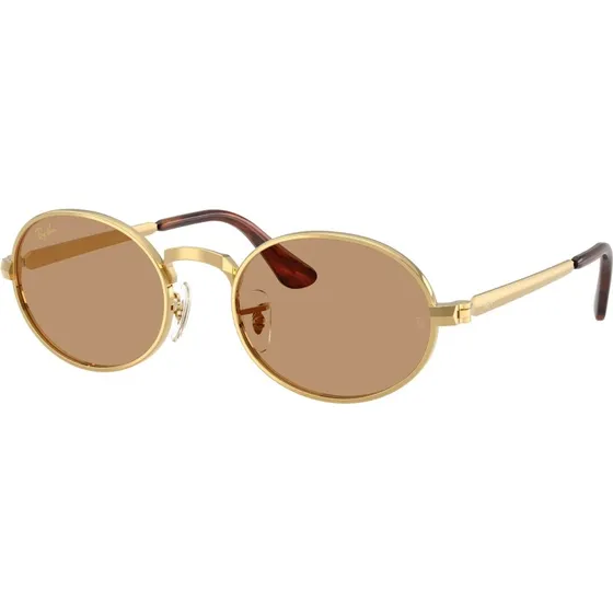 Ray-Ban RB3931 A$AP Rocky Occhiali da Sole Oro e Marrone