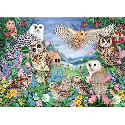 Falcon Puzzle Gufo nel Bosco 1000 Pezzi