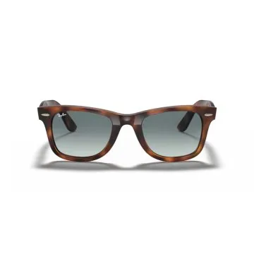 Ray-Ban Wayfarer Ease RB4340 Tortoise Blue