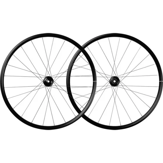 Mavic Aksium 1 Disc Centerlock Ruote Posteriori