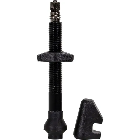 DT Swiss Valvola Tubeless Presta 18-25 mm Nero