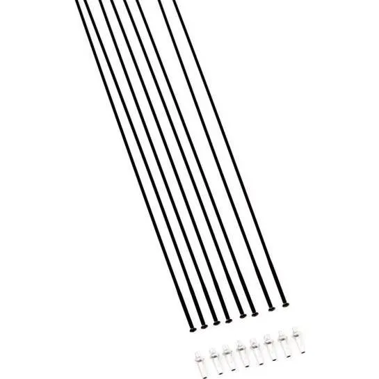 DT Swiss H1900 Spline 29" Anteriore + Posteriore Nero
