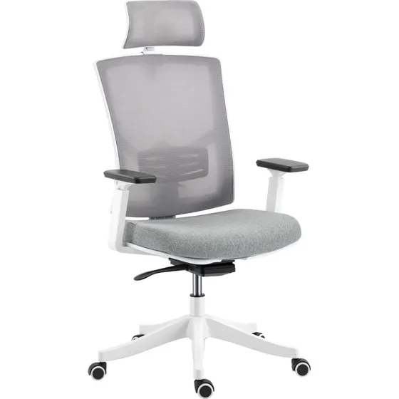 HOMCOM Sedia da Ufficio Ergonomica 4D Multicolore
