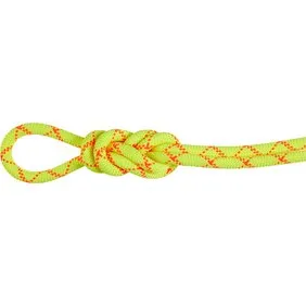 Mammut 9.5 Alpine Core Protect Dry Rope 40m