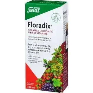 Salus Floradix Formula Liquida Ferro e Vitamine, 250 ml