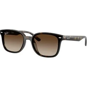 Ray-Ban RB4461D 710/13 Occhiali da Sole Tartaruga Marrone