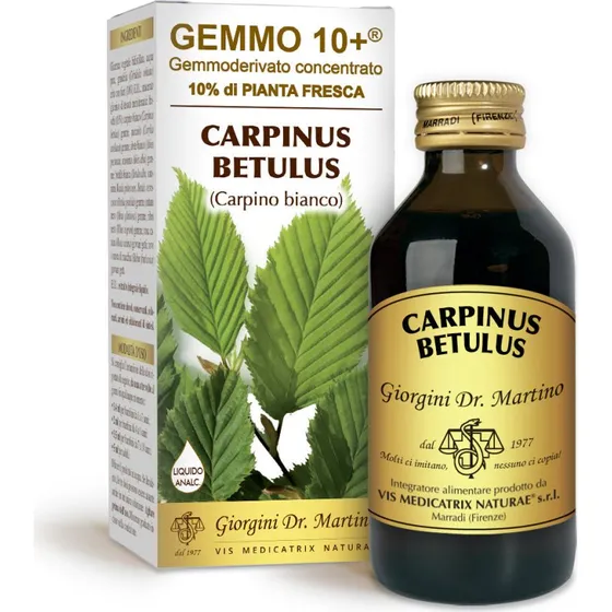 Dr. Giorgini Gemmo 10+ Carpino Bianco 100 ml - Analcolico