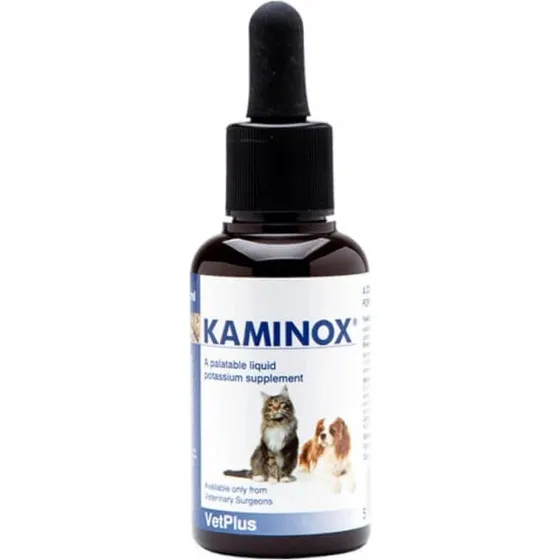 VetPlus Kaminox 60 ml - Integratore per la Funzionalità Renale