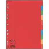 Esselte Divisori A4 10 Tasti 160gr Multicolor