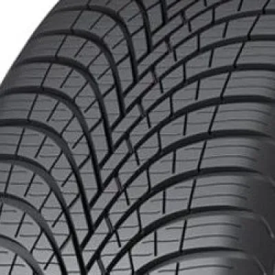 All Weather 235/55 R19 105W