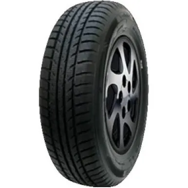 Minerva Polar Ice 1 225/60 R16 102V