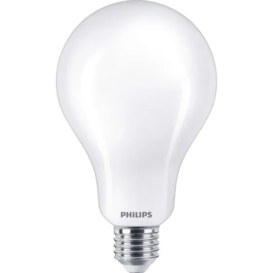 Philips Globo A95 LED E27 23W 2700K