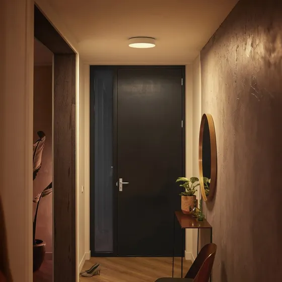 Philips Hue Enrave Plafoniera LED Bianca 26,1 cm