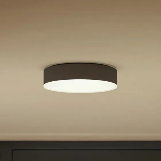 Philips Hue Enrave Plafoniera LED 26,1 cm Nero