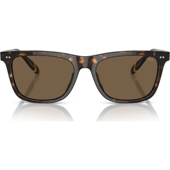 Polo Ralph Lauren PH 4205U Occhiali da Sole Uomo Avana Quadrati