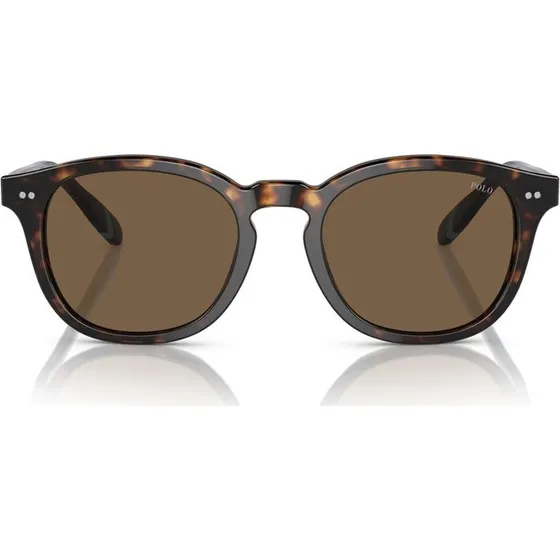 Polo Ralph Lauren PH 4206 Occhiali da Sole Uomo Avana Pantos