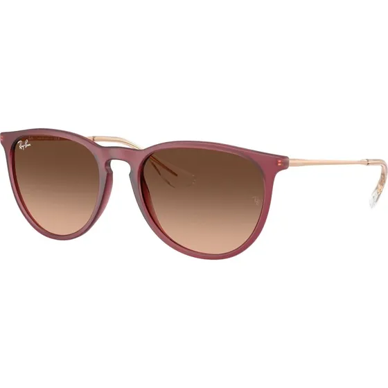 Ray-Ban RB4171 Erika Occhiali da Sole Pantos Viola e Rosa