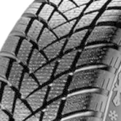 WinterPro2 205/65 R15 94T