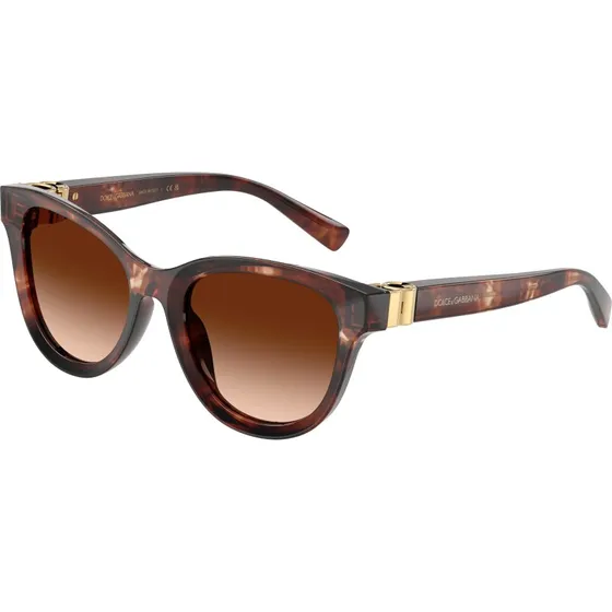 Dolce & Gabbana DG4533 Occhiali da Sole Pantos Rosso e Marrone