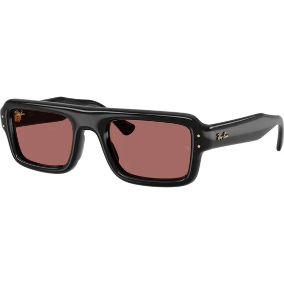 Ray-Ban RB4954 Occhiali da Sole A$AP Rocky Nero/Viola