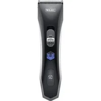 Animali e accessori per animali domestici