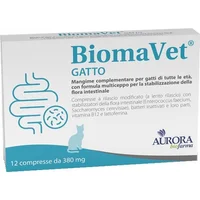 Cibo e accessori per gatti