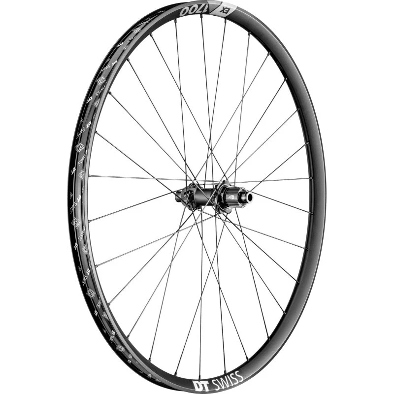 DT Swiss EX 1700 Spline 29" Posteriore Boost 12x148mm