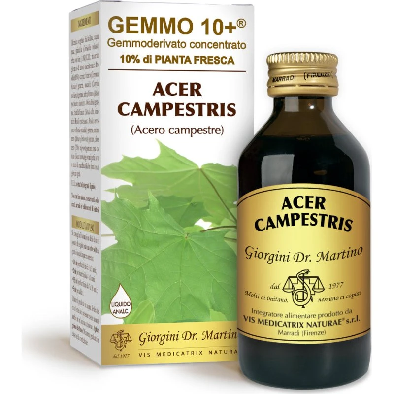 Dr. Giorgini Gemmo 10+ Acero Campestre 100 ml