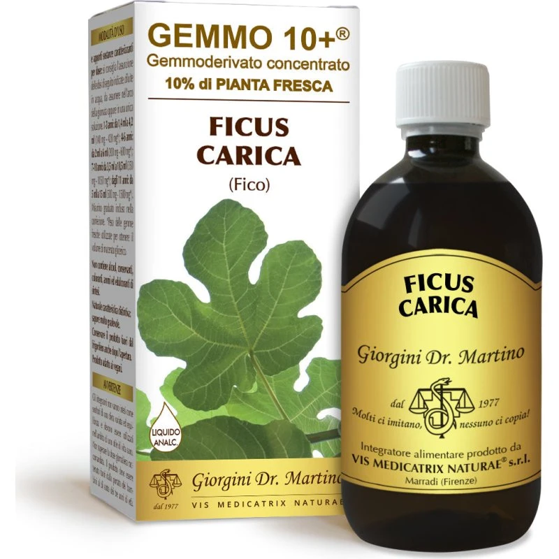 Gemmo 10+ Fico Dr. Giorgini - Integratore Analcolico 500 ml