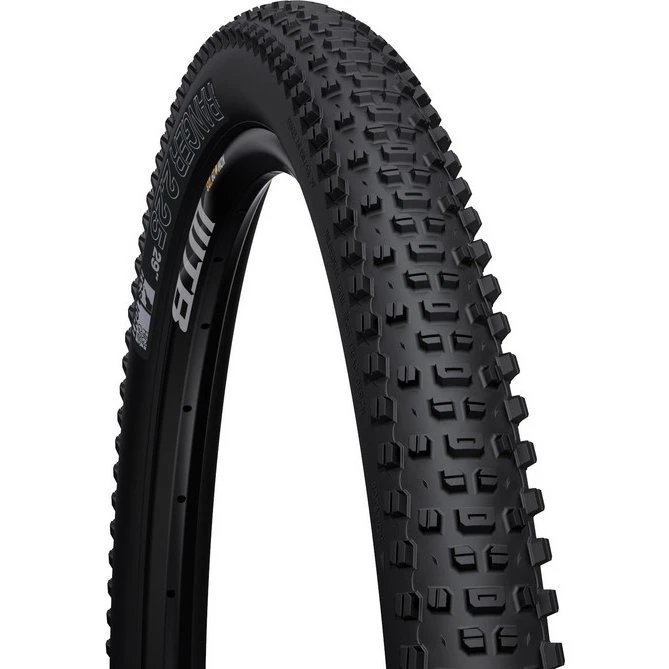 WTB Ranger 29" Pieghevole 2.25 Nero TCS Light Fast Rolling