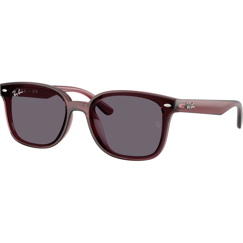Ray-Ban RB4461D Occhiali da Sole Squadrati Nylon Marrone Viola