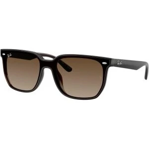 Ray-Ban RB4466D 714/13 Marrone Wayfarer