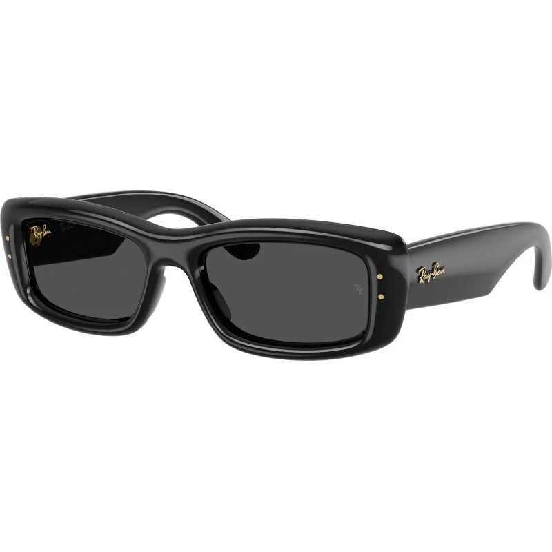 Ray-Ban RB4944 601/87 Occhiali da Sole Unisex