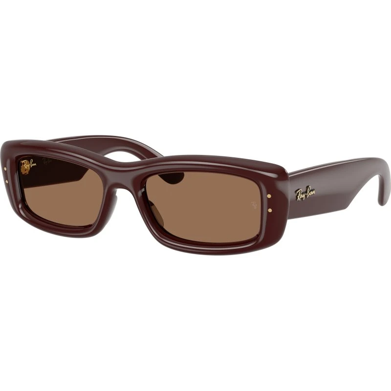 Ray-Ban RB4944 687773 Occhiali da Sole Unisex