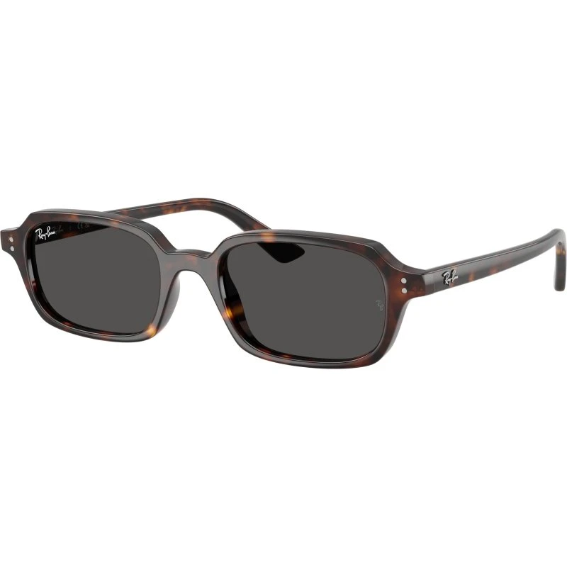 Ray-Ban RB4455 ZURI Occhiali da Sole Pillow Unisex