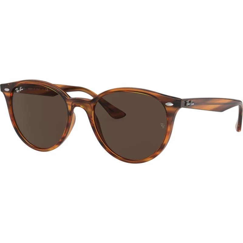 Ray-Ban RB4305 820/73 Occhiali da Sole Pantos Unisex Rosso e Marrone