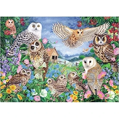 Falcon Puzzle Gufo nel Bosco 1000 Pezzi