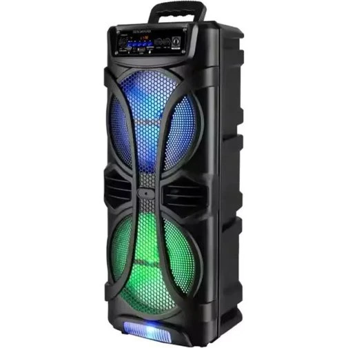 SP-53 40W Cassa Amplificata Karaoke Bluetooth con Microfono Wireless