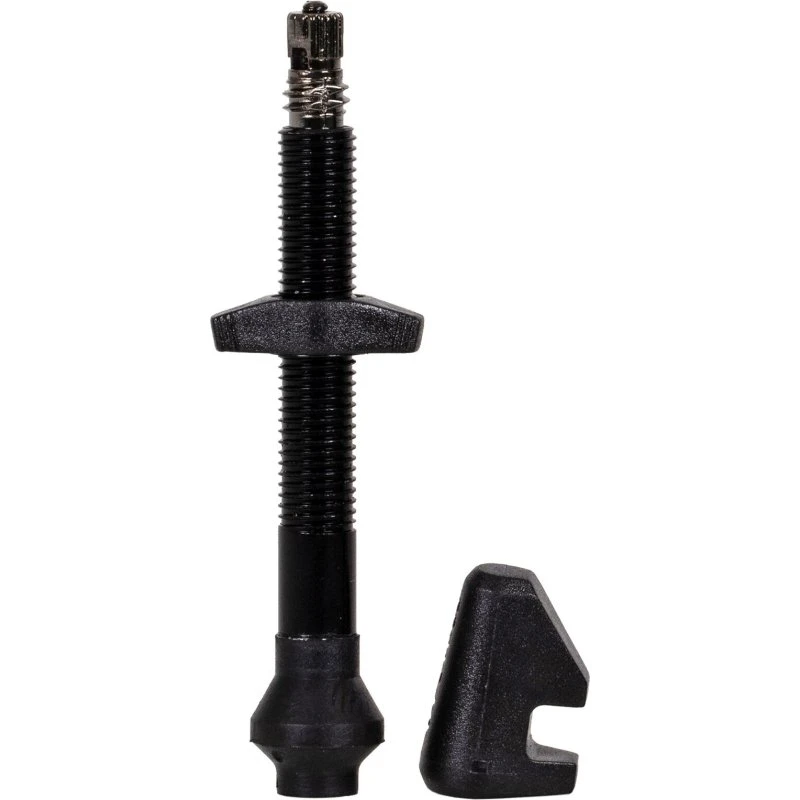 DT Swiss Valvola Tubeless Presta 18-25 mm Nero