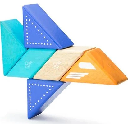 Tegu 6 blocchi magnetici in legno - Aereo a reazione