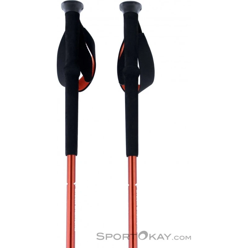 Black Diamond Trail Poles 2018, nero