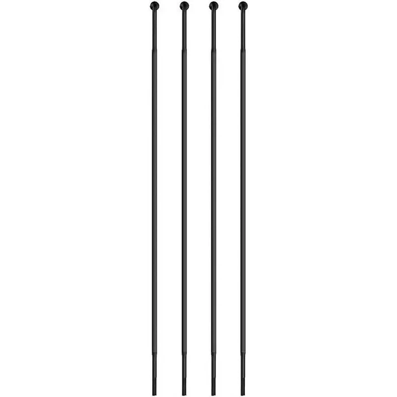 Sapim Raggio Strong Inox J-Bend 260mm Argento 4pz