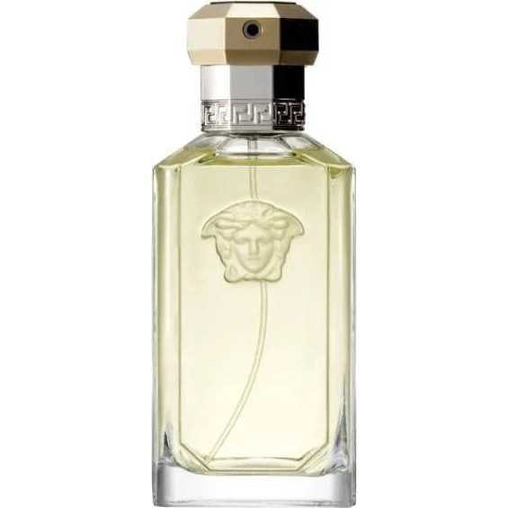 Versace The Dreamer Eau de Toilette Spray 100 ml